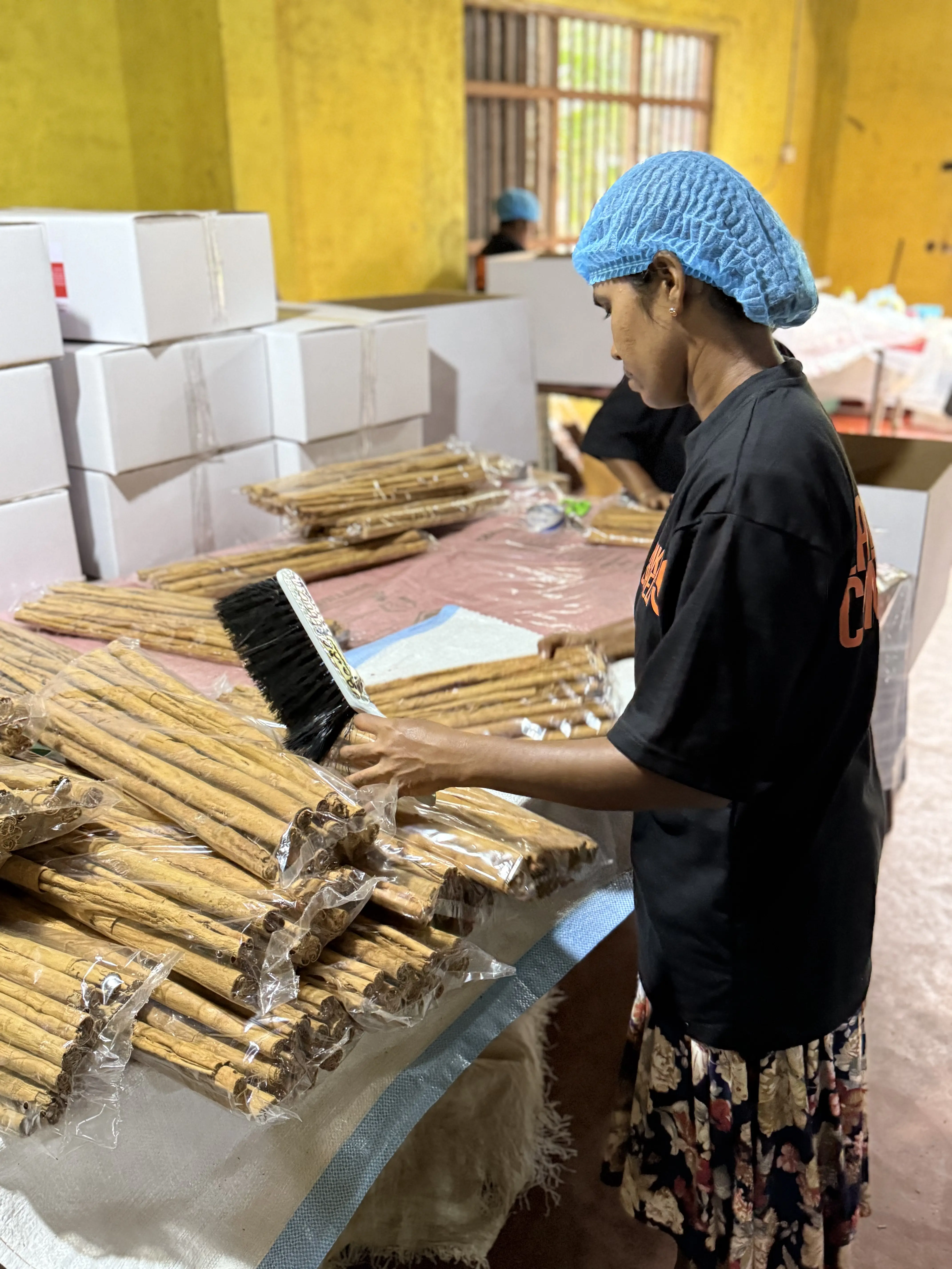 A worker wearing a blue hairnet and a black T-shirt carefully packs bundles of Ceylon cinnamon sticks into clear plastic sleeves at a production facility. Stacks of white shipping boxes are visible in the background against a yellow wall, highlighting the final stages of the export packaging process.
